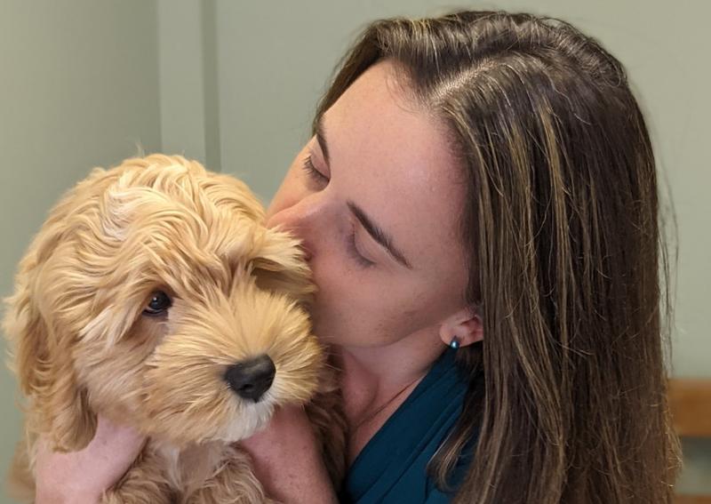 Carousel Slide 4: Puppy Veterinary Care, Amherst