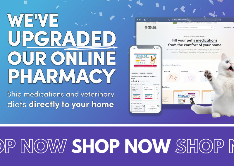 Carousel Slide 2: Shop our Online Pet Pharmacy