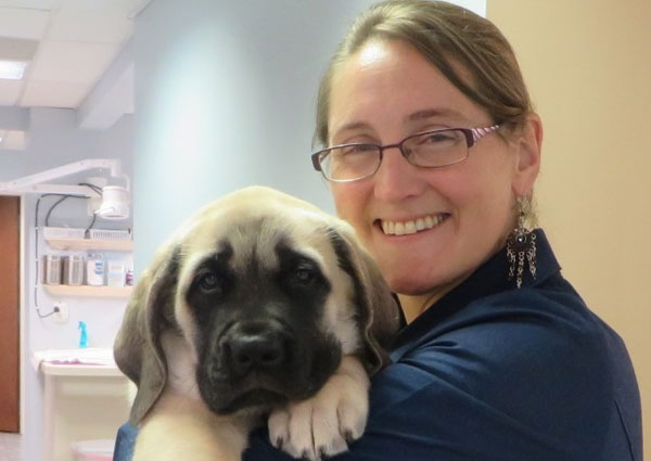 Dog Veterinary Care, Amherst